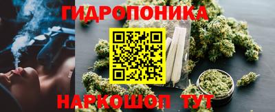 дмт Донской